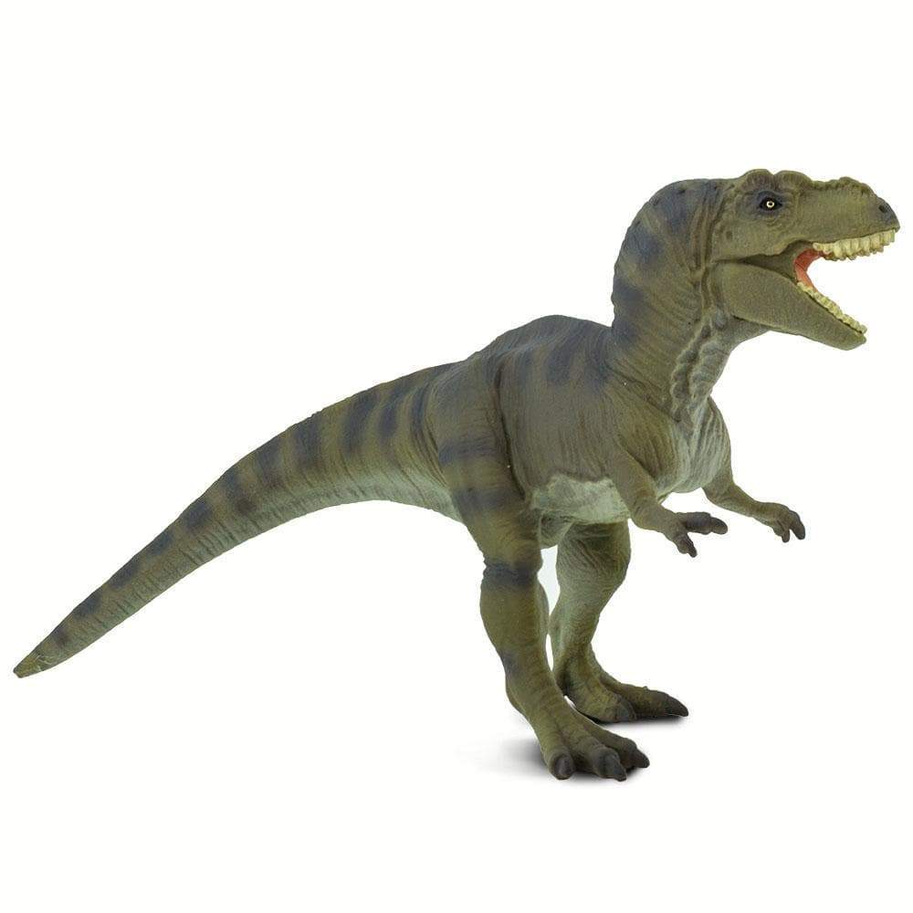 Tyrannosaurus Rex Toy | Dinosaur Toys | Safari Ltd®