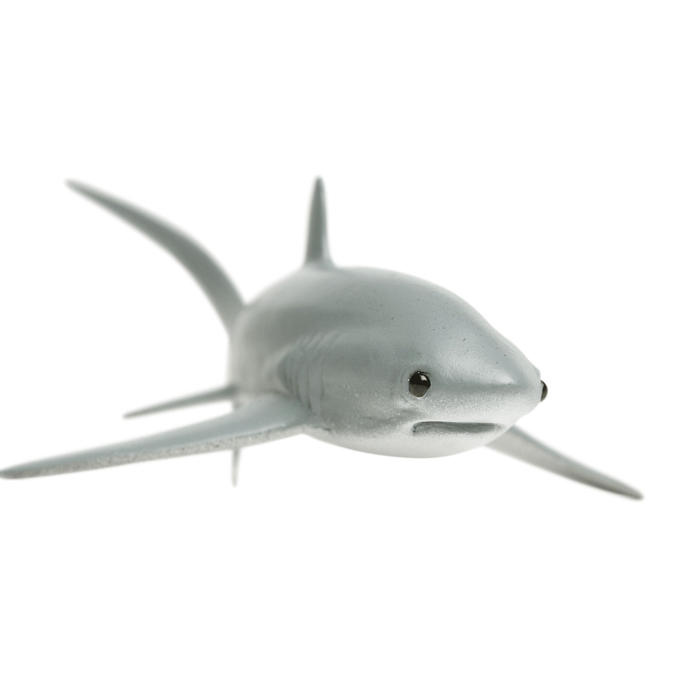 Thresher Shark Toy | Sea Life | Safari Ltd®