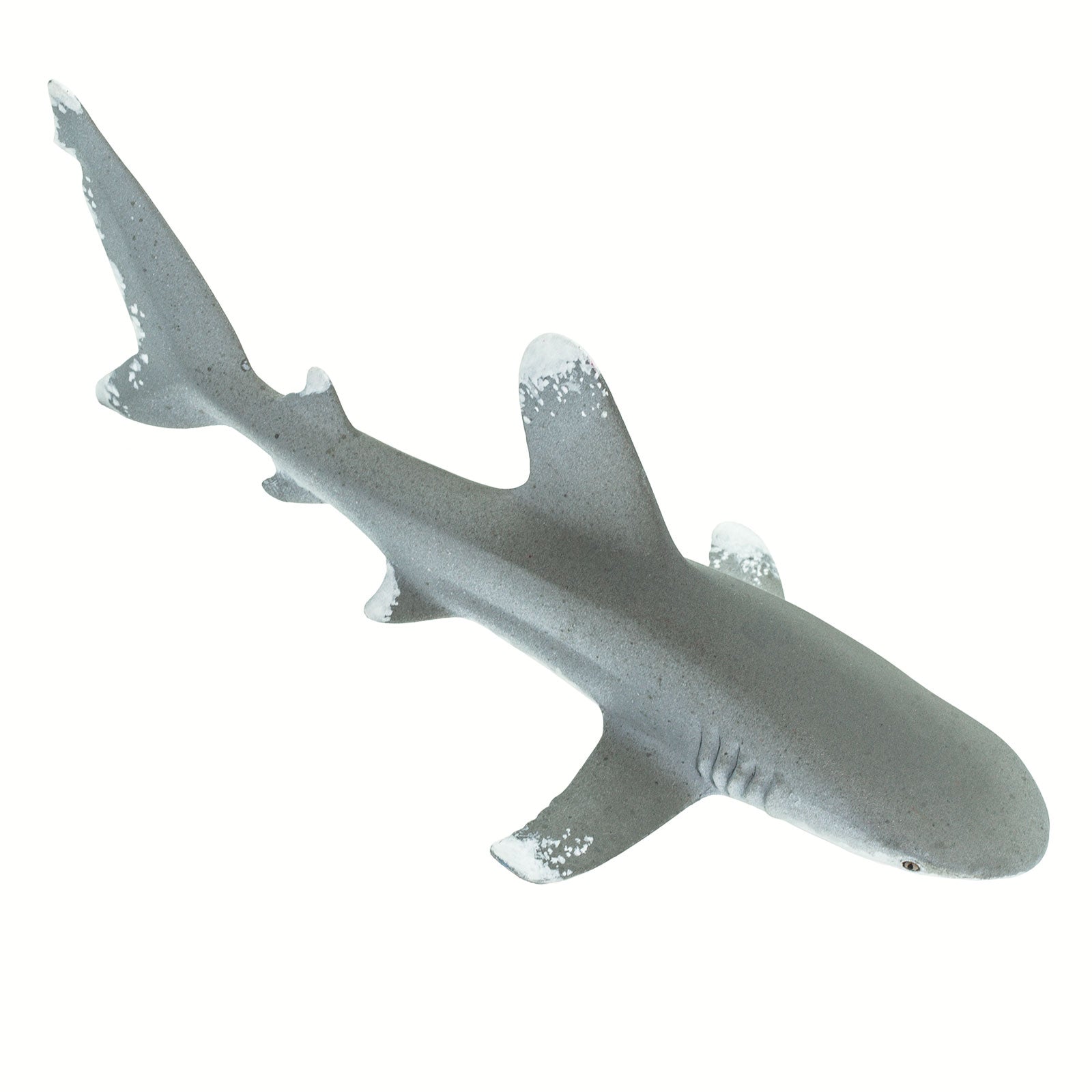 Oceanic Whitetip Shark Toy | Sea Life | Safari Ltd®