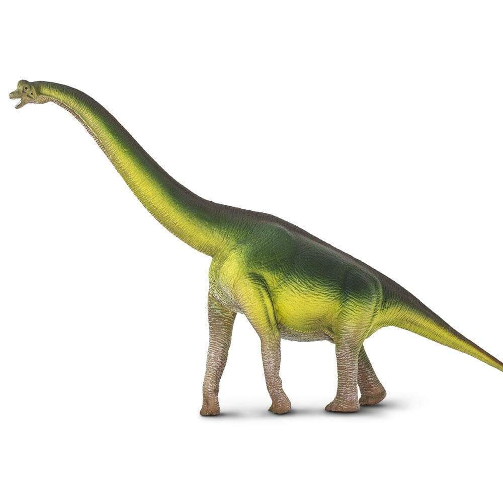Brachiosaurus Toy | Dinosaur Toys | Safari Ltd®