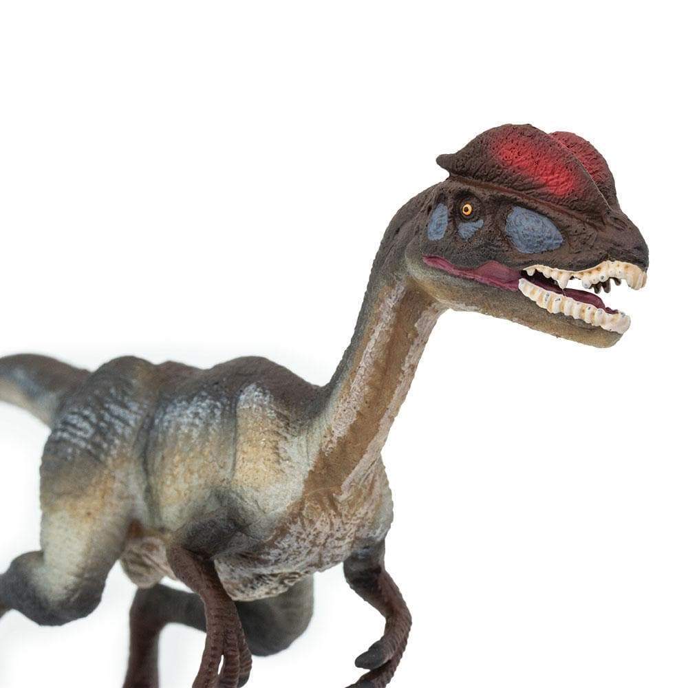 Dilophosaurus Toy | Dinosaur Toys | Safari Ltd®