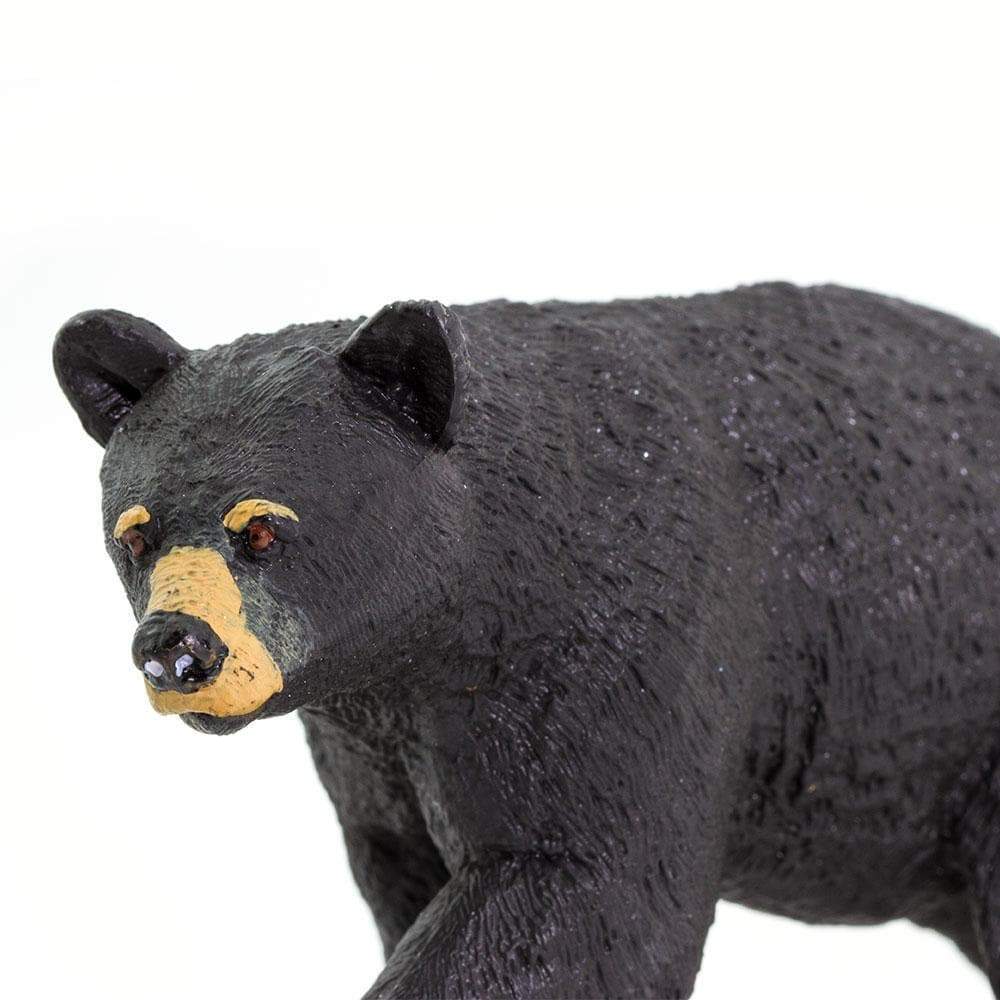 Black Bear Toy | Wildlife Animal Toys | Safari Ltd®