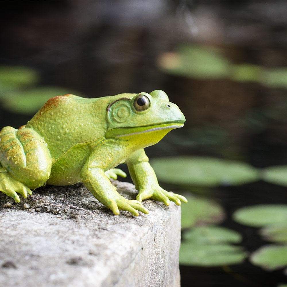 American Bullfrog Amphibian Toy | Safari Ltd®