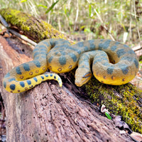 Green Anaconda Snake Toy Figure |  | Safari Ltd®