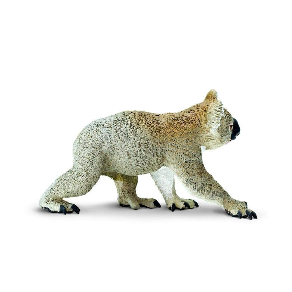 Koala Toy | Wildlife Animal Toys | Safari Ltd®