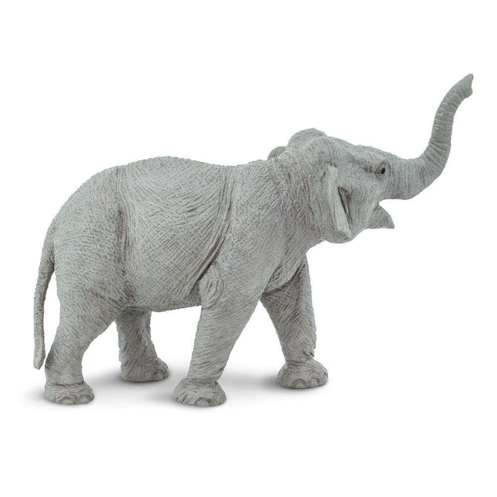 Asian Elephant Toy | Wildlife Animal Toys | Safari Ltd®