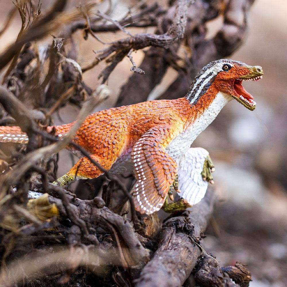 Feathered Velociraptor Toy | Dinosaur Toys | Safari Ltd®
