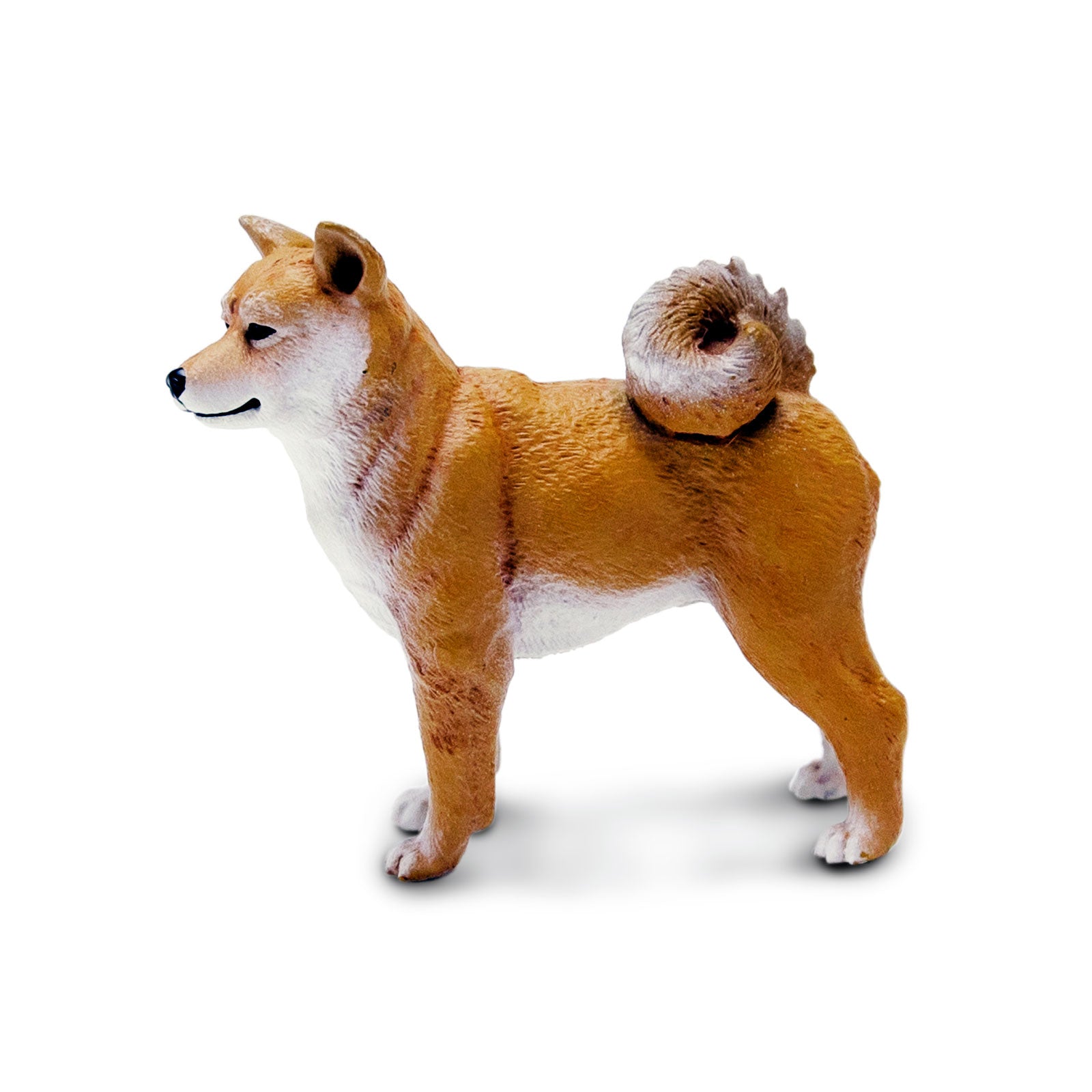 Matcha Shiba Inu 日本限定 ぬいぐるみ Shiba Inu Toy | Safari Ltd®