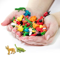 Desert Fun Pack | Good Luck Minis® | Safari Ltd®