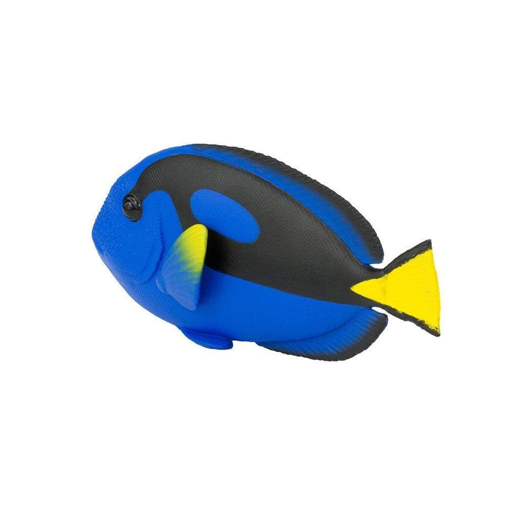 Blue Tang Toy | Incredible Creatures | Safari Ltd®
