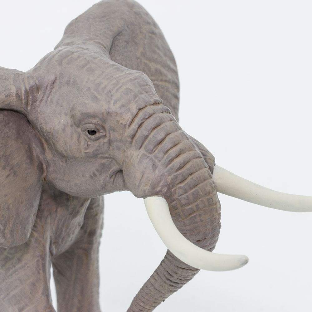 African Bull Elephant Toy | Wildlife Animal Toys | Safari Ltd®