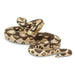 Boa Constrictor Toy | Incredible Creatures | Safari Ltd®