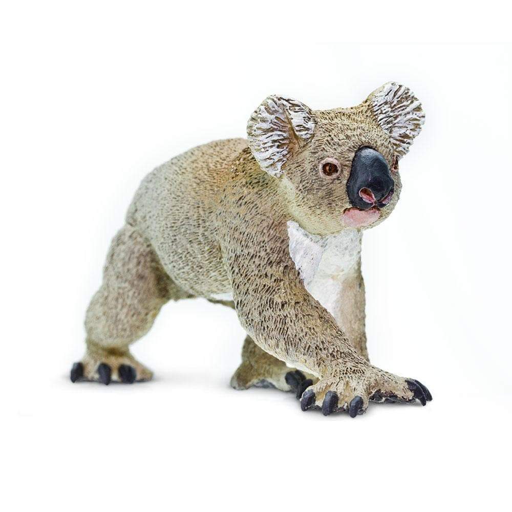 Koala Toy | Wildlife Animal Toys | Safari Ltd®