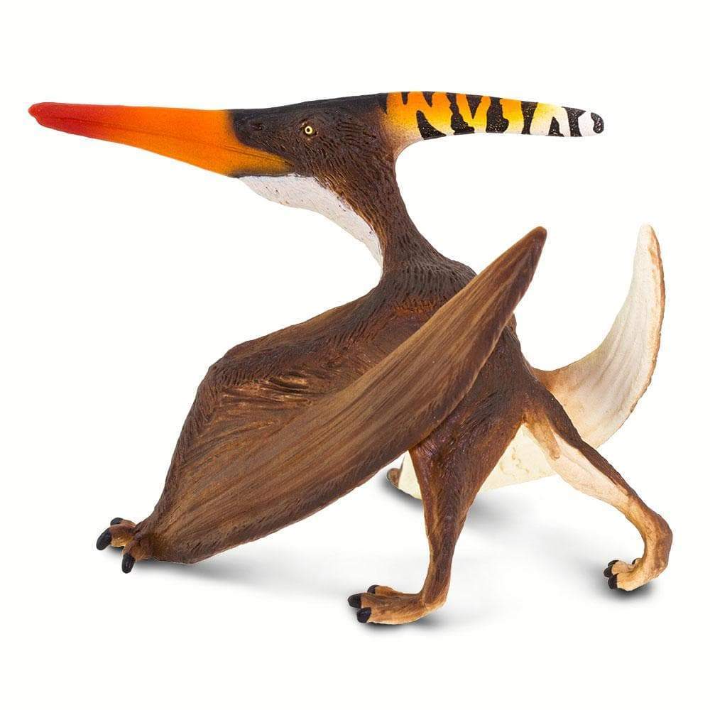 Pteranodon | Dinosaur Toys | Safari Ltd®