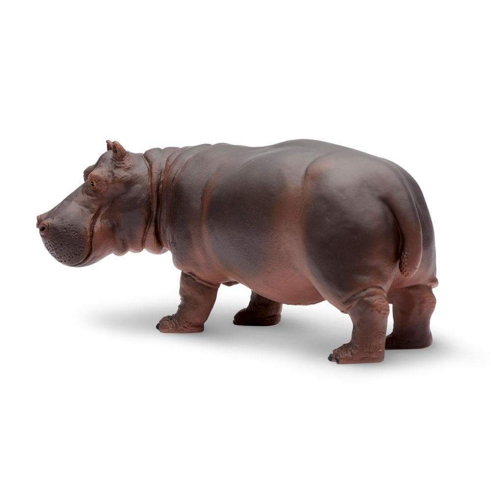 Hippopotamus Toy | Safari Ltd®