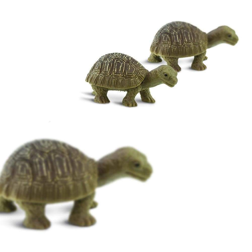 Tortoises - 192 pcs - Good Luck Minis® | Safari Ltd®