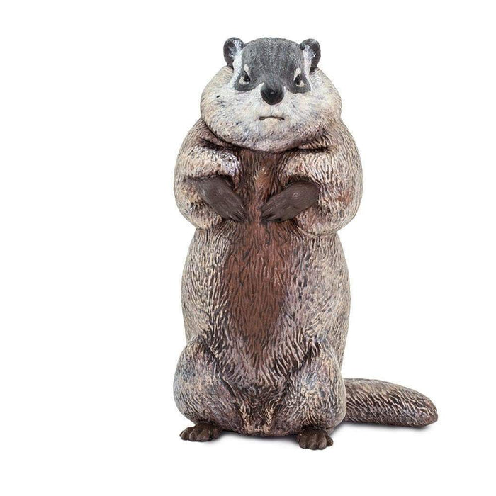 Groundhog Toy | Incredible Creatures | Safari Ltd®