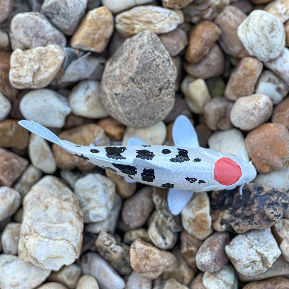 Koi Fish - Tancho Toy | Incredible Creatures | Safari Ltd®