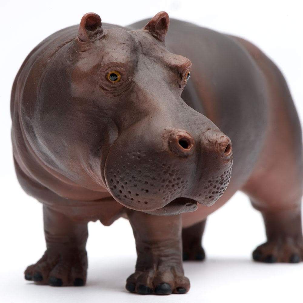 Hippopotamus Toy | Safari Ltd®