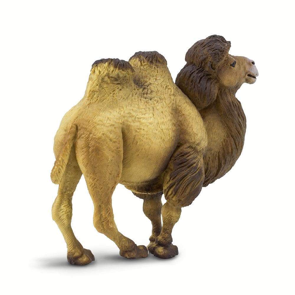 Bactrian Camel Toy | Wildlife Animal Toys | Safari Ltd®