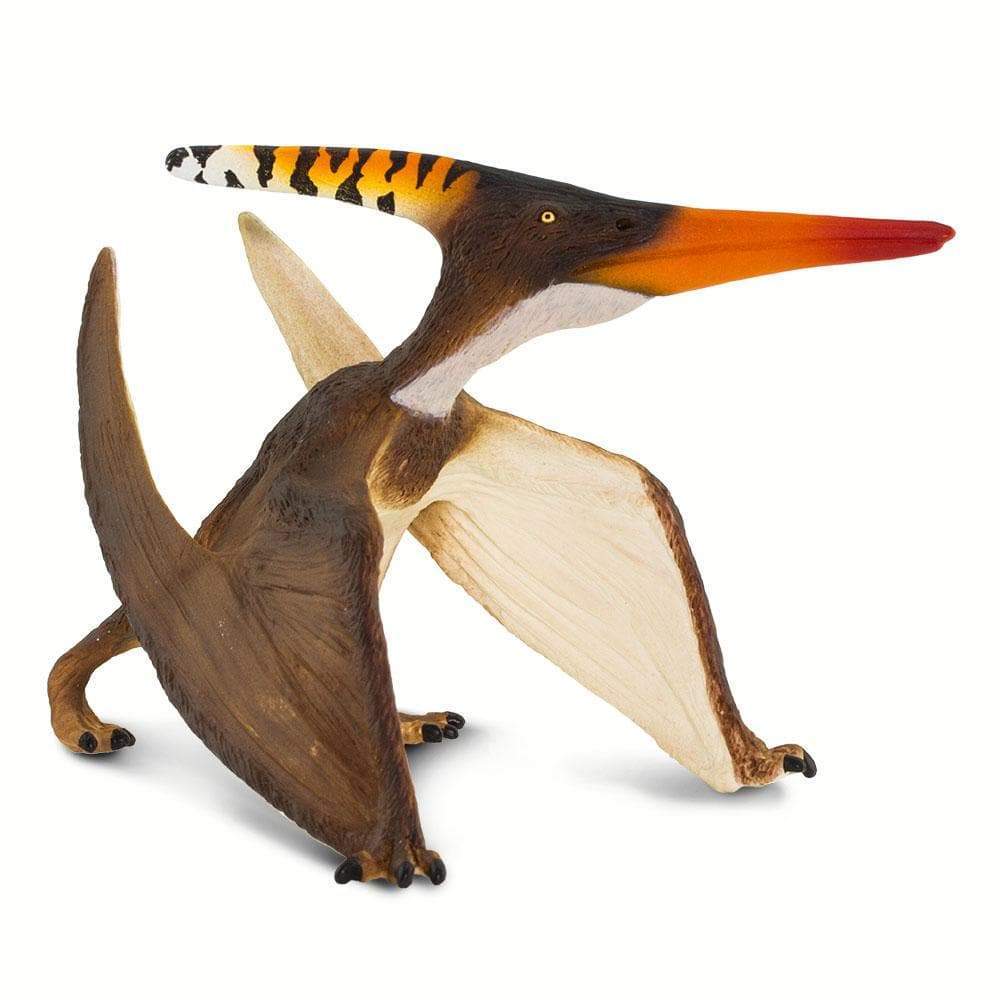 Pteranodon | Dinosaur Toys | Safari Ltd®