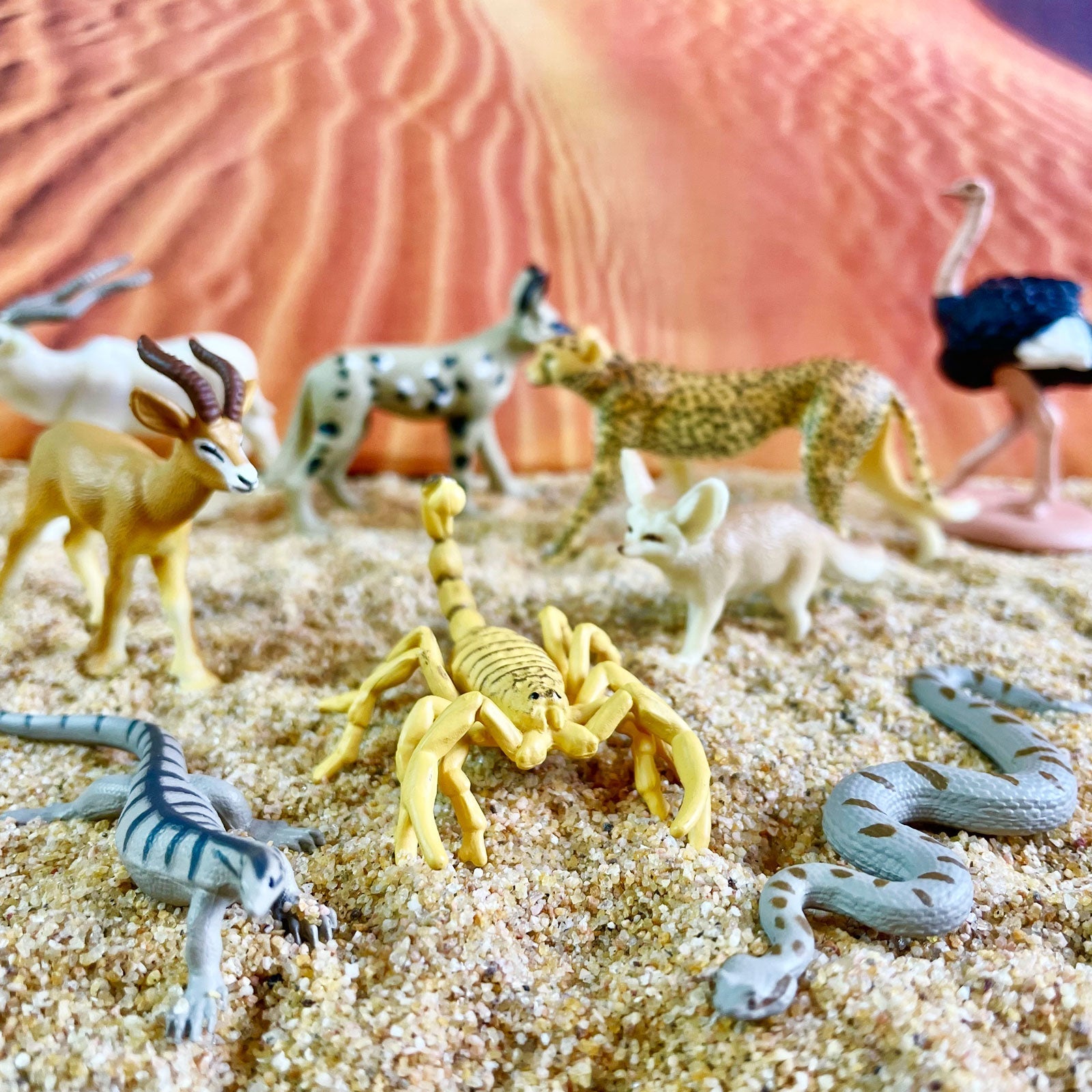 Sahara Desert Animals TOOB |  | Safari Ltd®