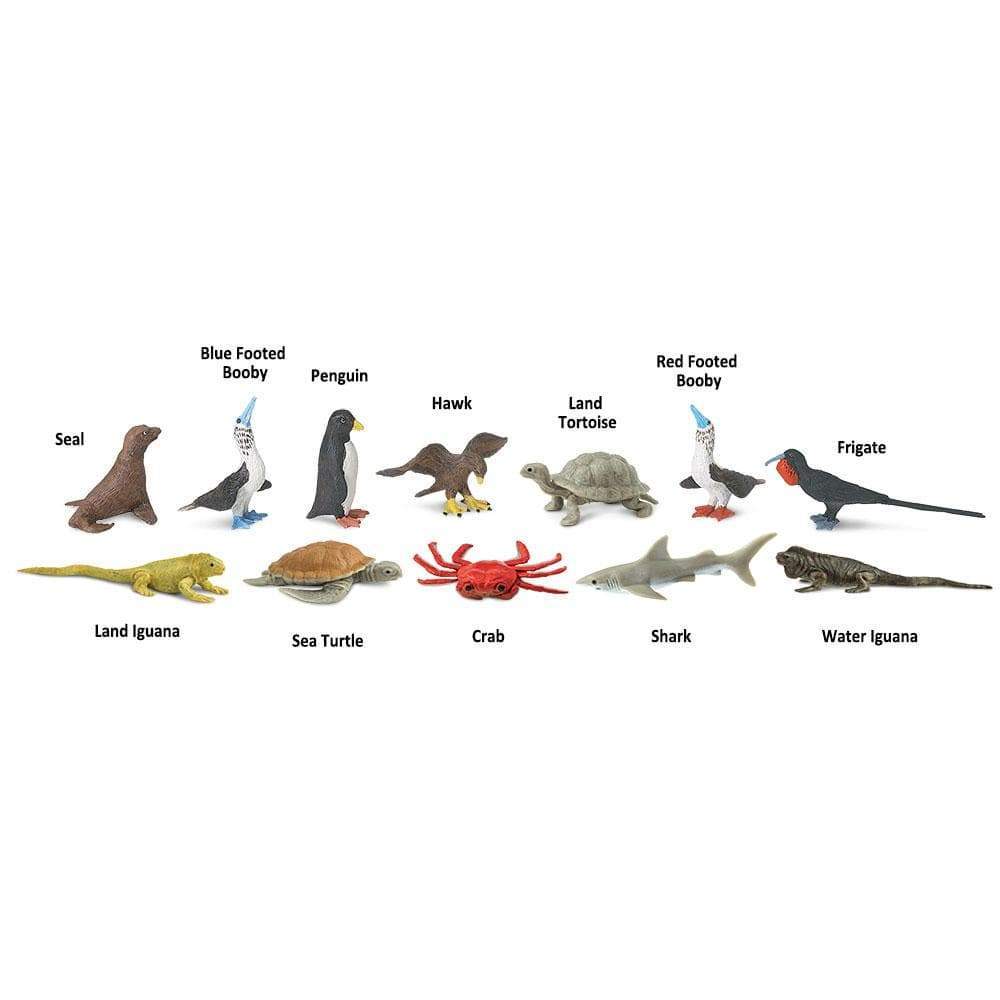 Galapagos TOOB® | TOOBS® - Mini Toys | Safari Ltd®