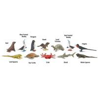 Galapagos TOOB® | TOOBS® - Mini Toys | Safari Ltd®