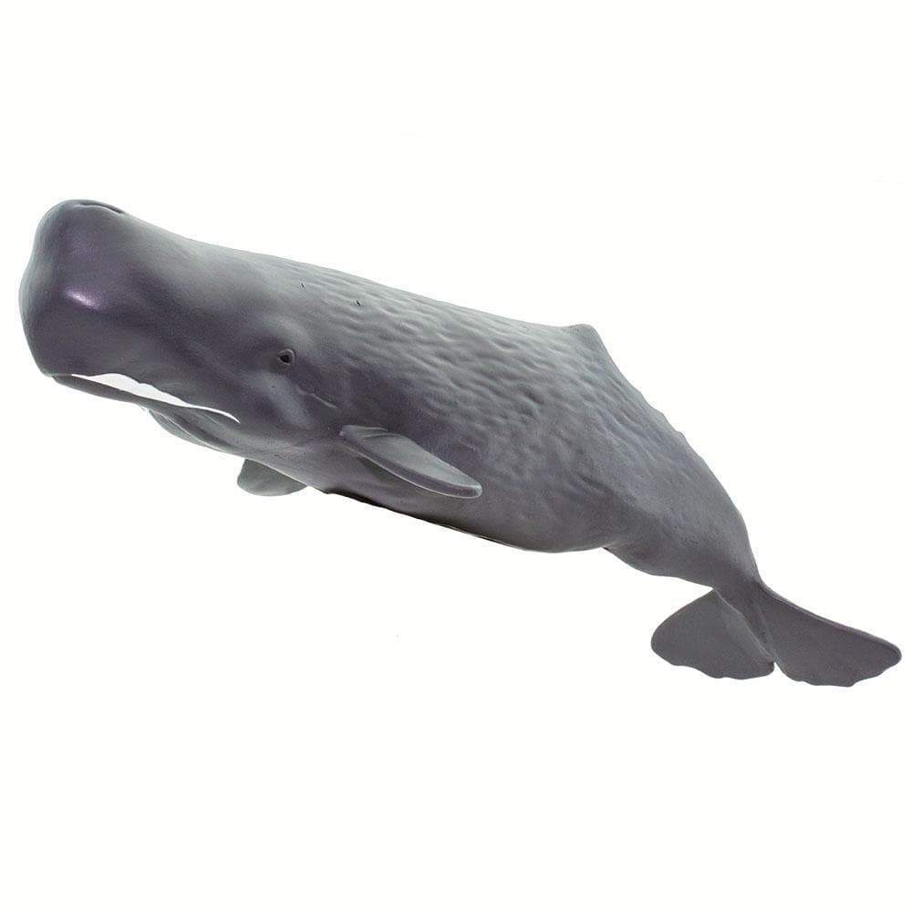 Sperm Whale Toy | Sea Life | Safari Ltd®