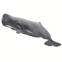 Sperm Whale Toy | Sea Life | Safari Ltd®
