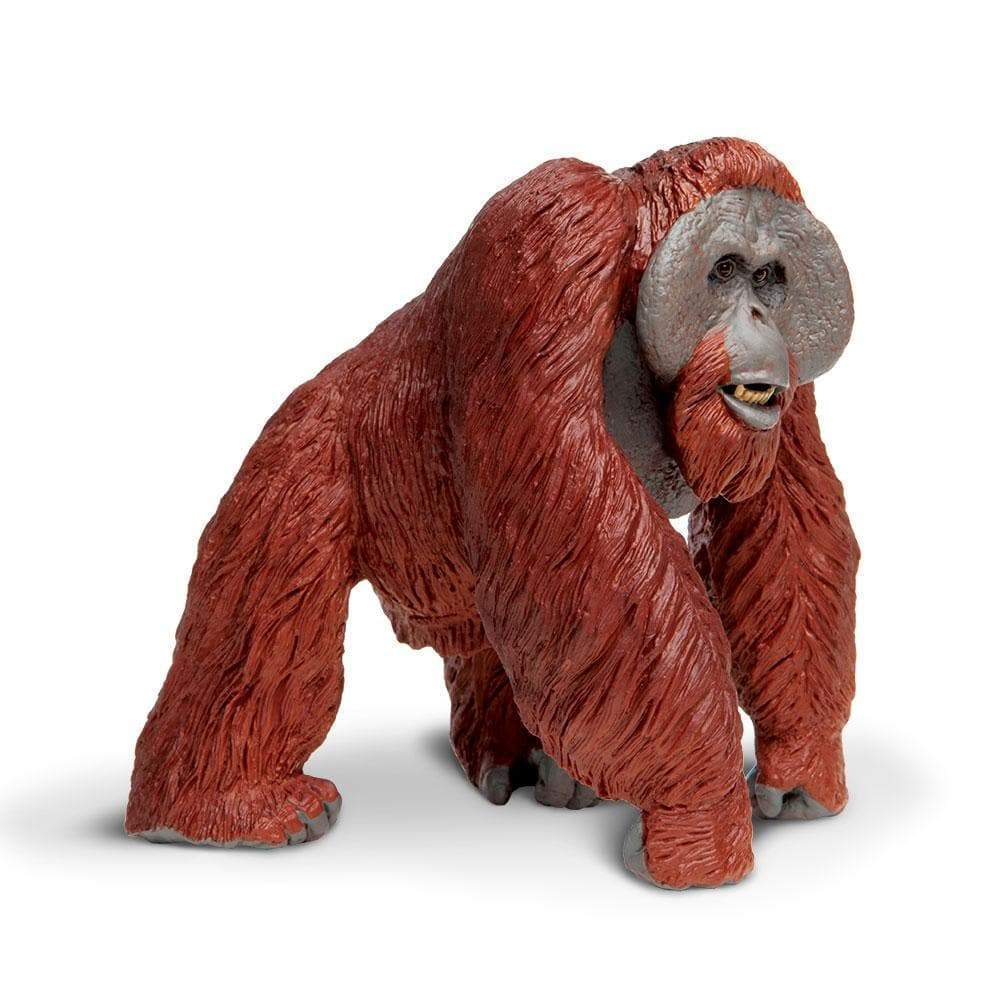 Bornean Orangutan Toy | Wildlife Animal Toys | Safari Ltd®