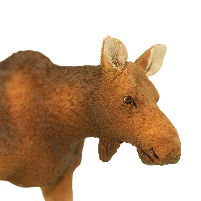 Cow Moose Toy | Wildlife Animal Toys | Safari Ltd®