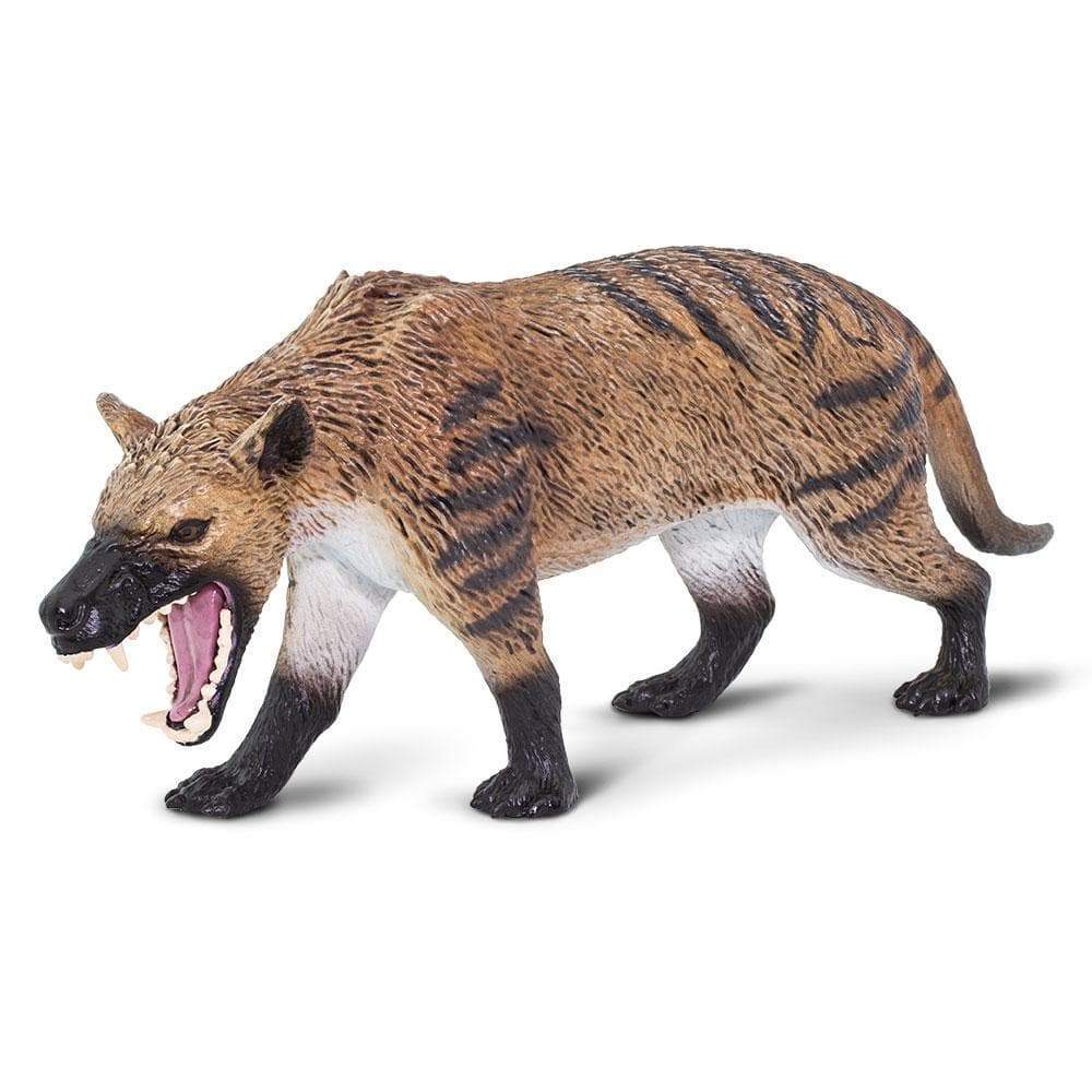 Hyaenodon Toy Figurine Safari Ltd Prehistoric Animal Safari Ltd hyaenodon-toy-figurine-safari-ltd-prehistoric-animal-safari-ltd