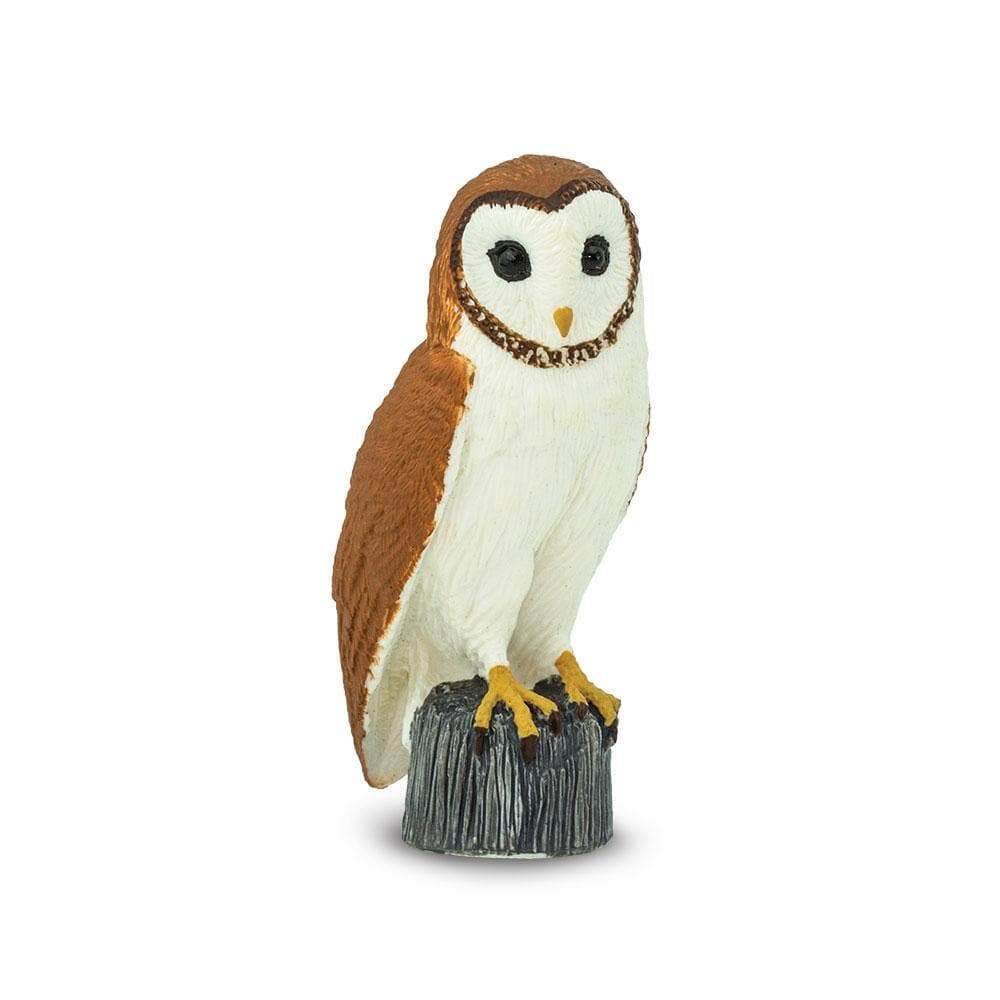 Barn Owl Toy | Safari Ltd®