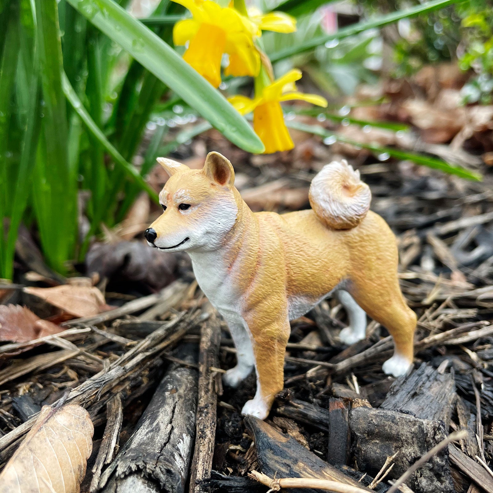 Shiba Inu Toy | Safari Ltd®