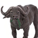Cape Buffalo Toy | Wildlife Animal Toys | Safari Ltd®