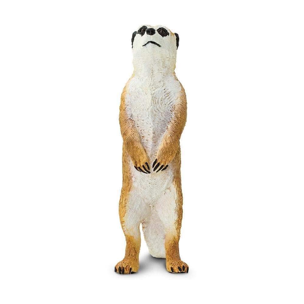 Meerkat Toy | Wildlife Animal Toys | Safari Ltd®
