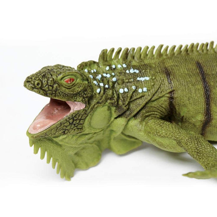 Iguana Toy | Incredible Creatures | Safari Ltd®