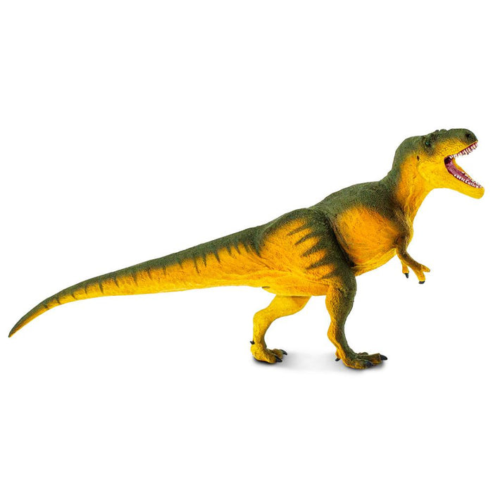 Daspletosaurus Toy - Safari Ltd®