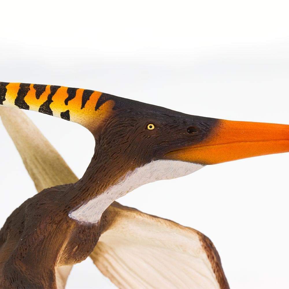 Pteranodon | Dinosaur Toys | Safari Ltd®
