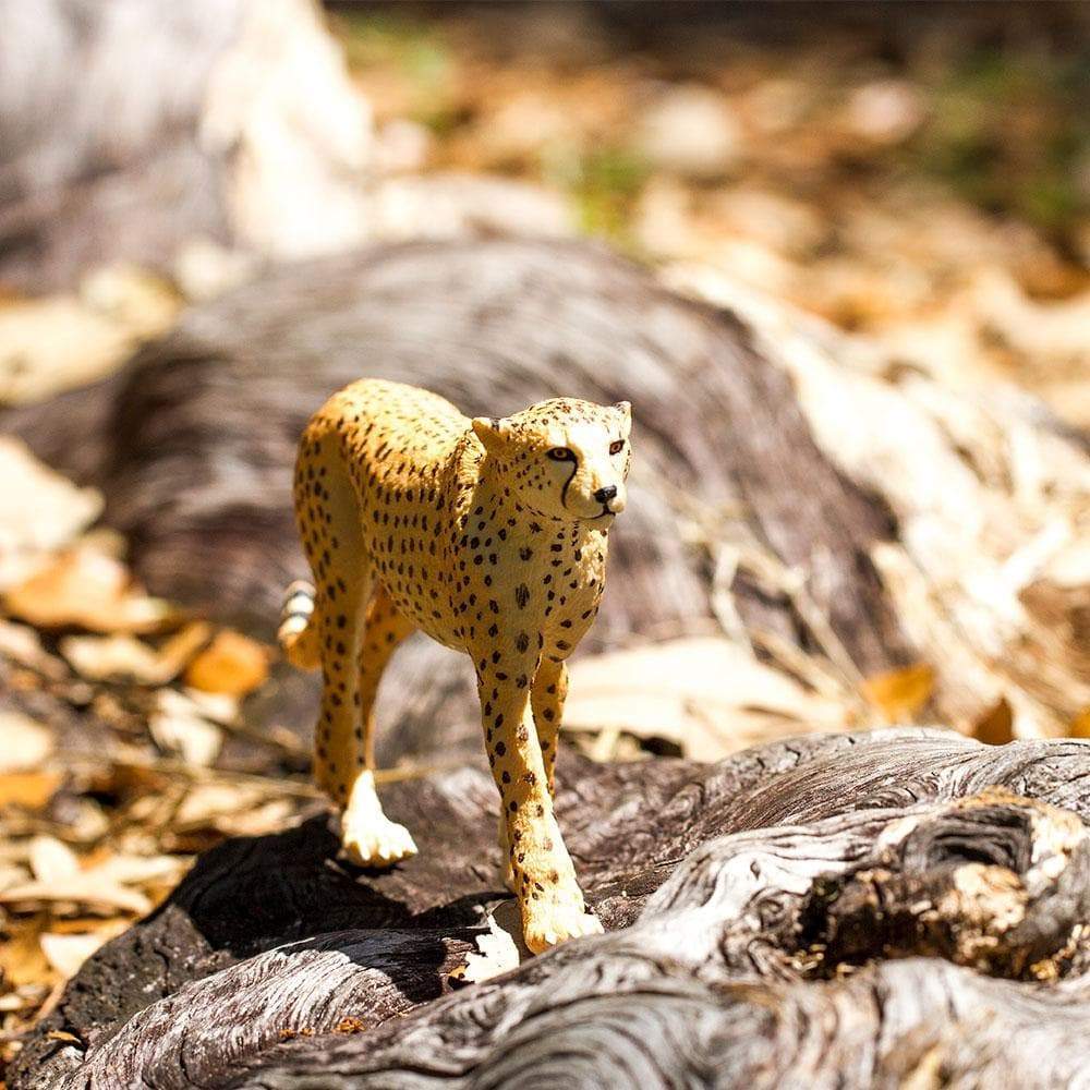 Cheetah Toy | Wildlife Animal Toys | Safari Ltd®