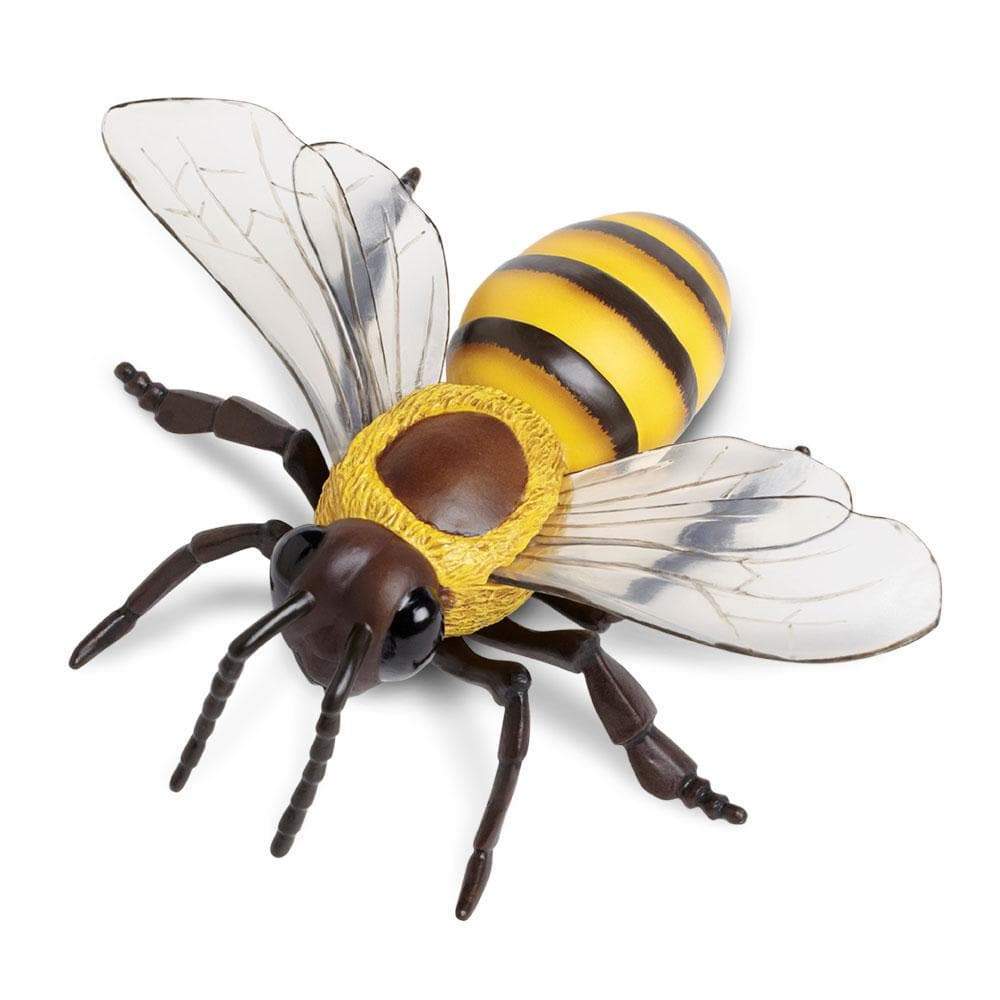 Honey Bee Toy