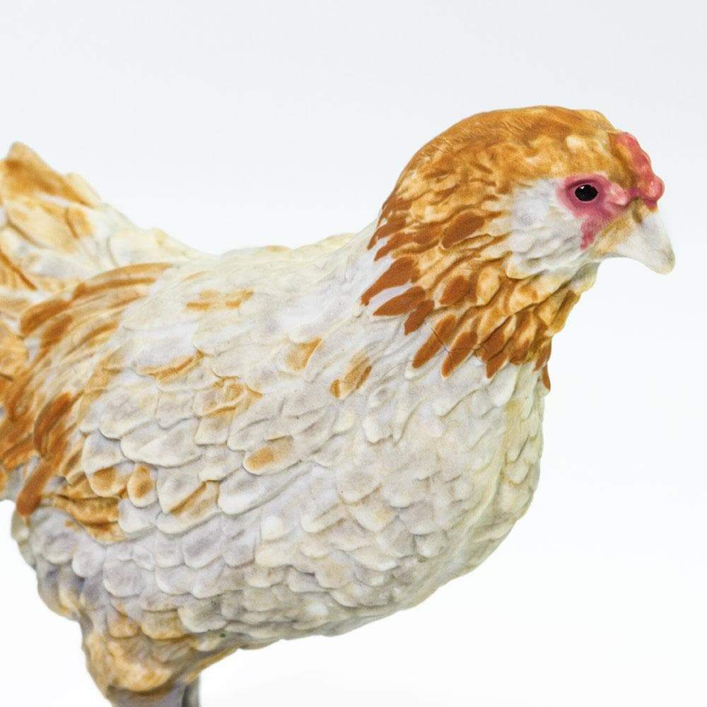 Ameraucana Chicken Toy | Farm | Safari Ltd®