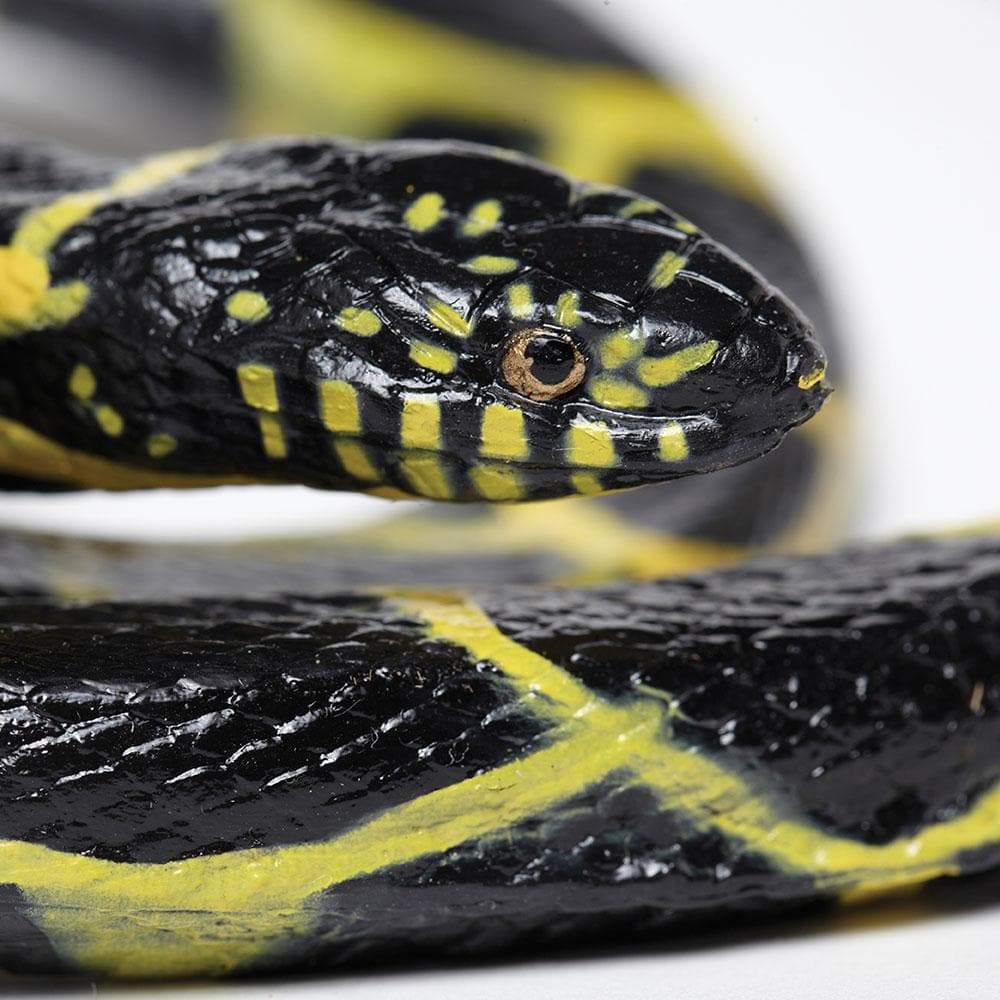 Chain Kingsnake Toy | Incredible Creatures | Safari Ltd®