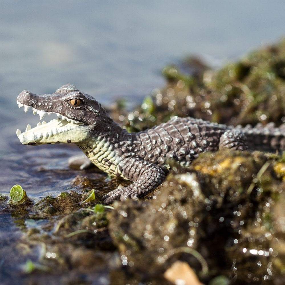Caiman Toy | Wildlife Animal Toys | Safari Ltd®