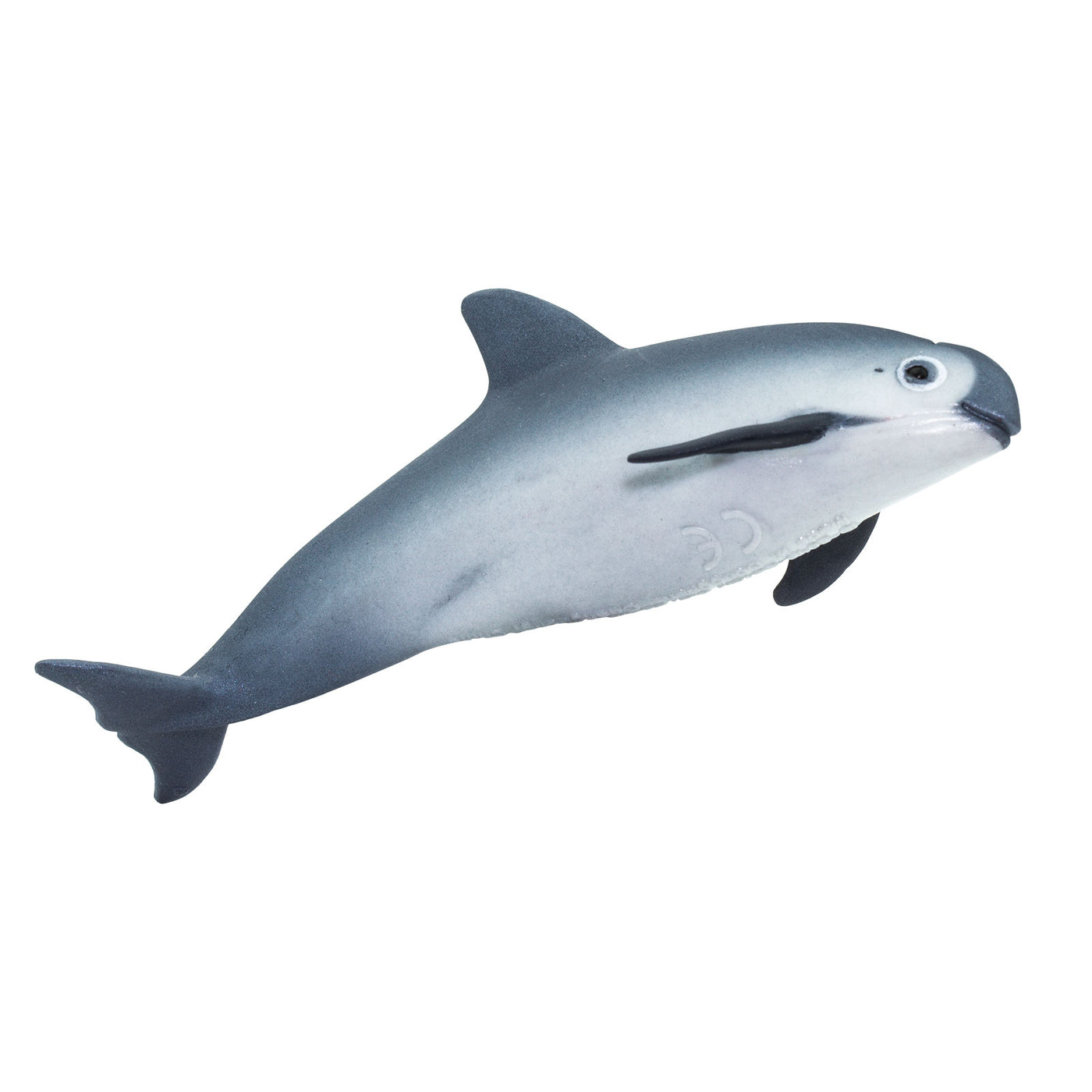 Vaquita Porpoise Toy | Sea Life | Safari Ltd®