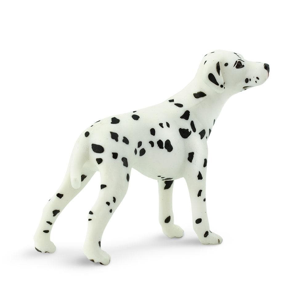 Safari Ltd - Figurine Dalmatien Réaliste - Jouet éducatif Pour Enfants (dès 3 Ans)