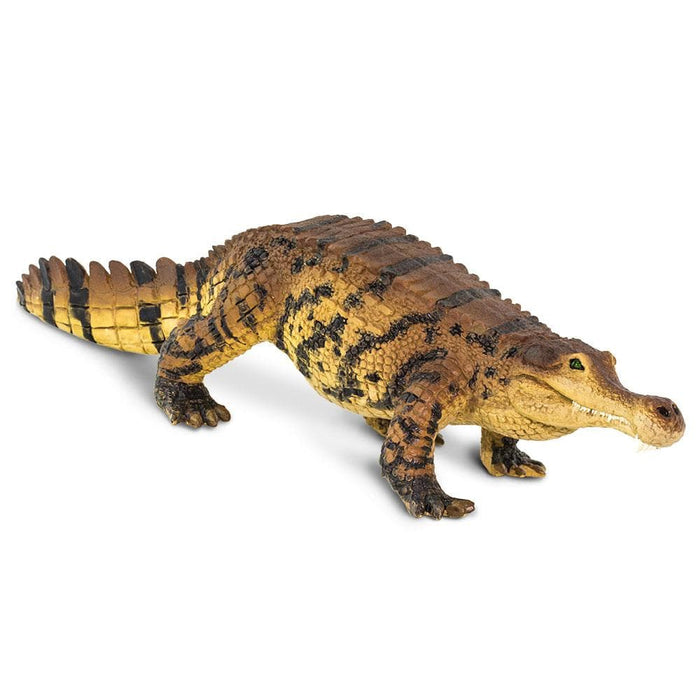 Sarcosuchus Toy | Dinosaur Toys | Safari Ltd®