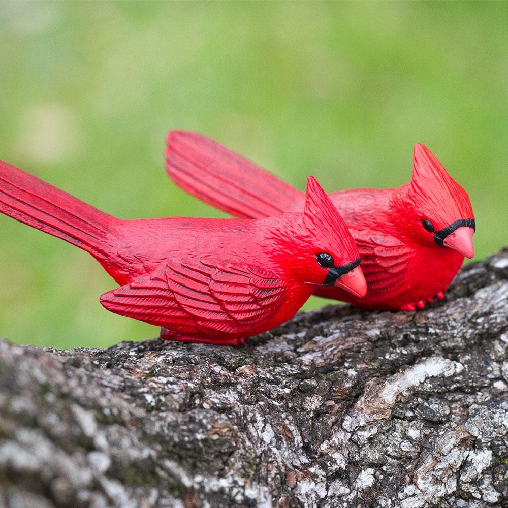 Cardinal Toy | Incredible Creatures | Safari Ltd®