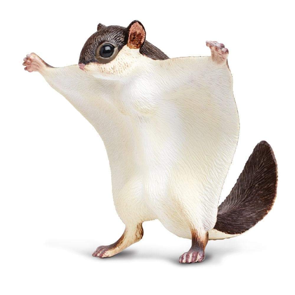 Squirrel toy clearance